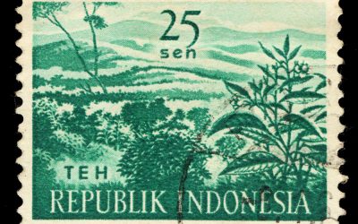 Indonesia Achieves Milestone with the First Asian Sovereign Green Bond Issue