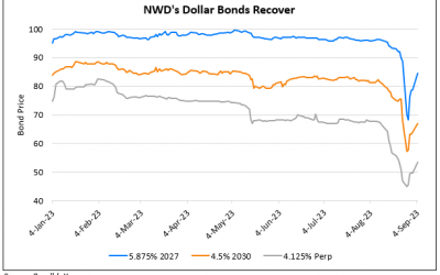 NWD’s Dollar Bonds Reverse Some of Its Losses