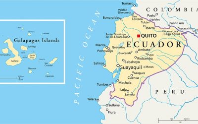 Ecuador Dollar Bonds Rise on Voters Backing Anti-Mafia Measures
